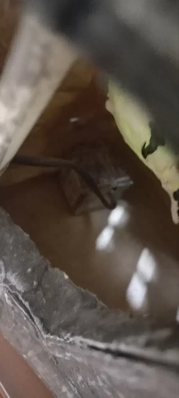 ابنما|مجسمه، تندیس، ماکت|ری, ظهیرآباد|دیوار