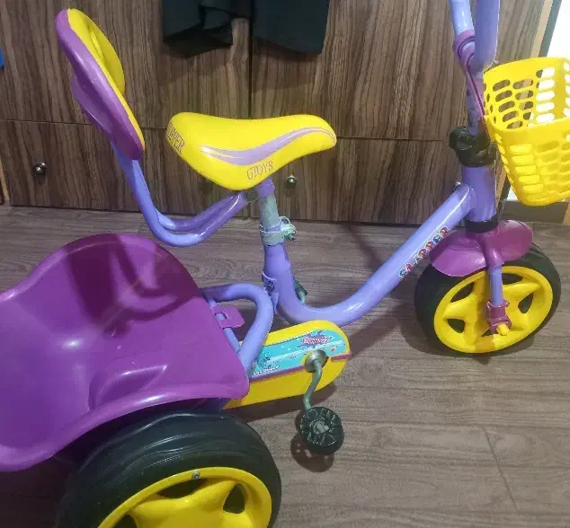 سه چرخه|دوچرخه، اسکیت، اسکوتر|رشت, معلولین|دیوار