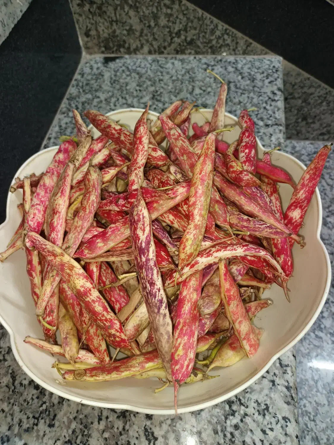 لوبیا چیتی و لوبیا سبز|خوردنی و آشامیدنی|قائم‌شهر, |دیوار