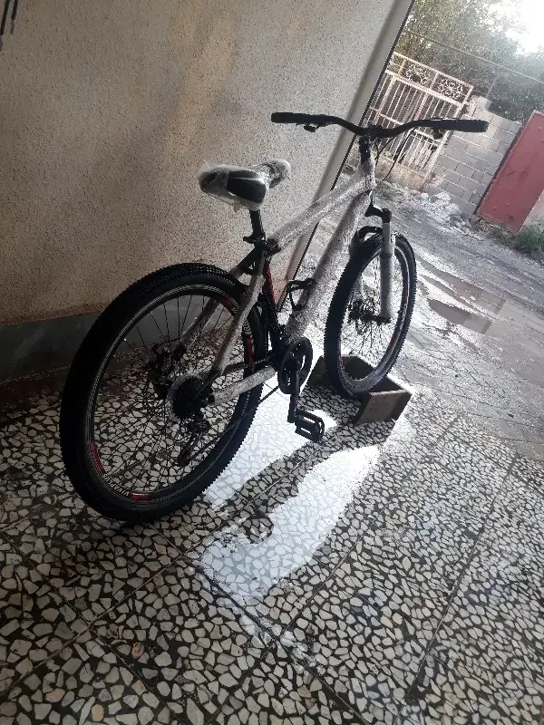 دوچرخه|دوچرخه، اسکیت، اسکوتر|سیاهکل, |دیوار