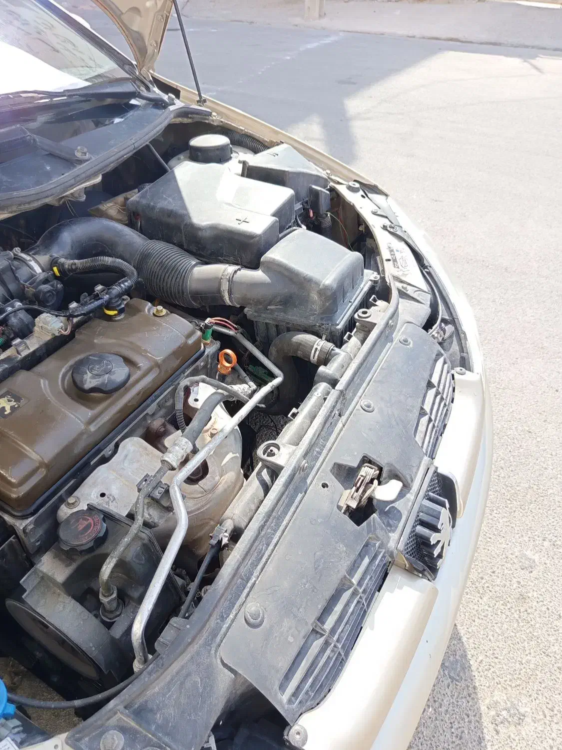 206 مدل 83|خودرو سواری و وانت|خورموج, |دیوار