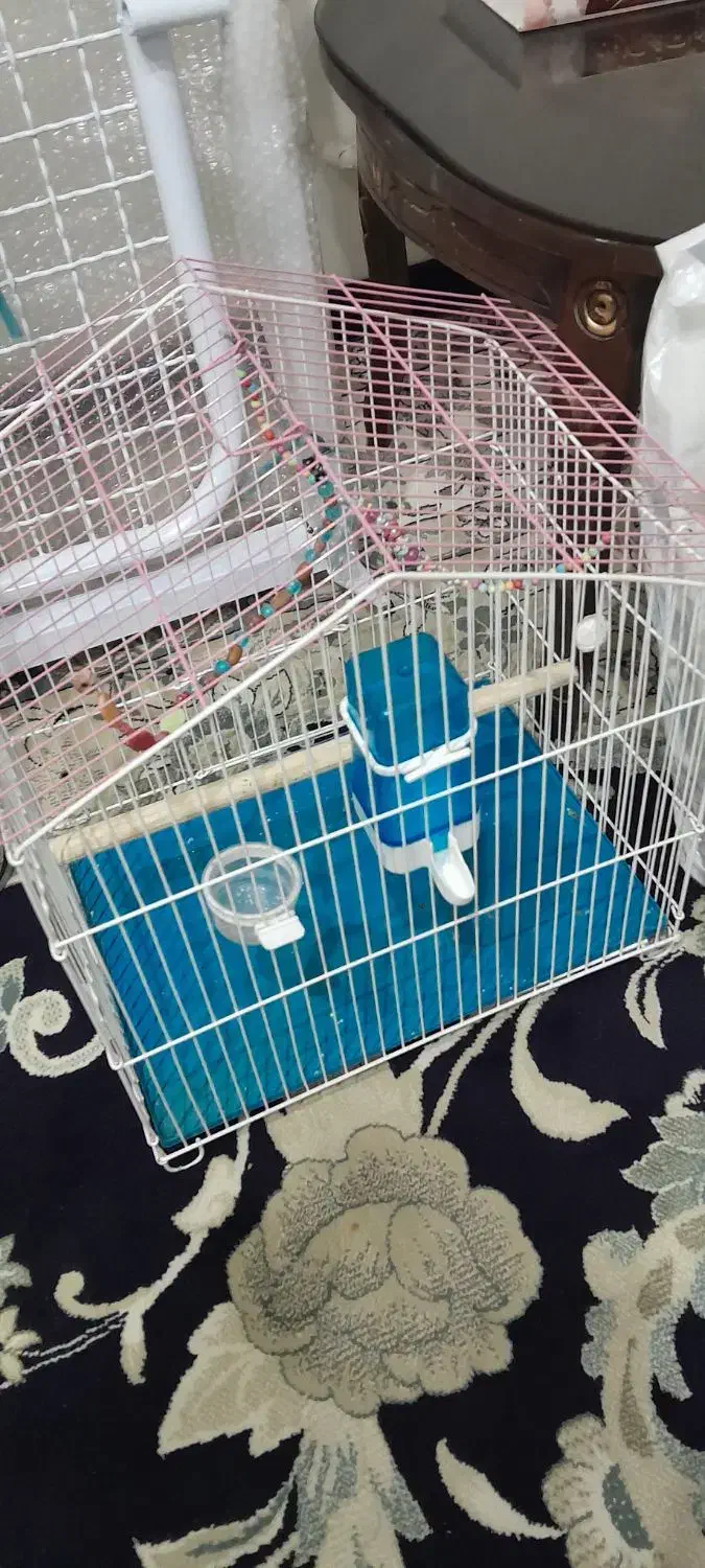 سلام قفس عنواع پرنده|لوازم جانبی حیوانات|تهران, شارق|دیوار