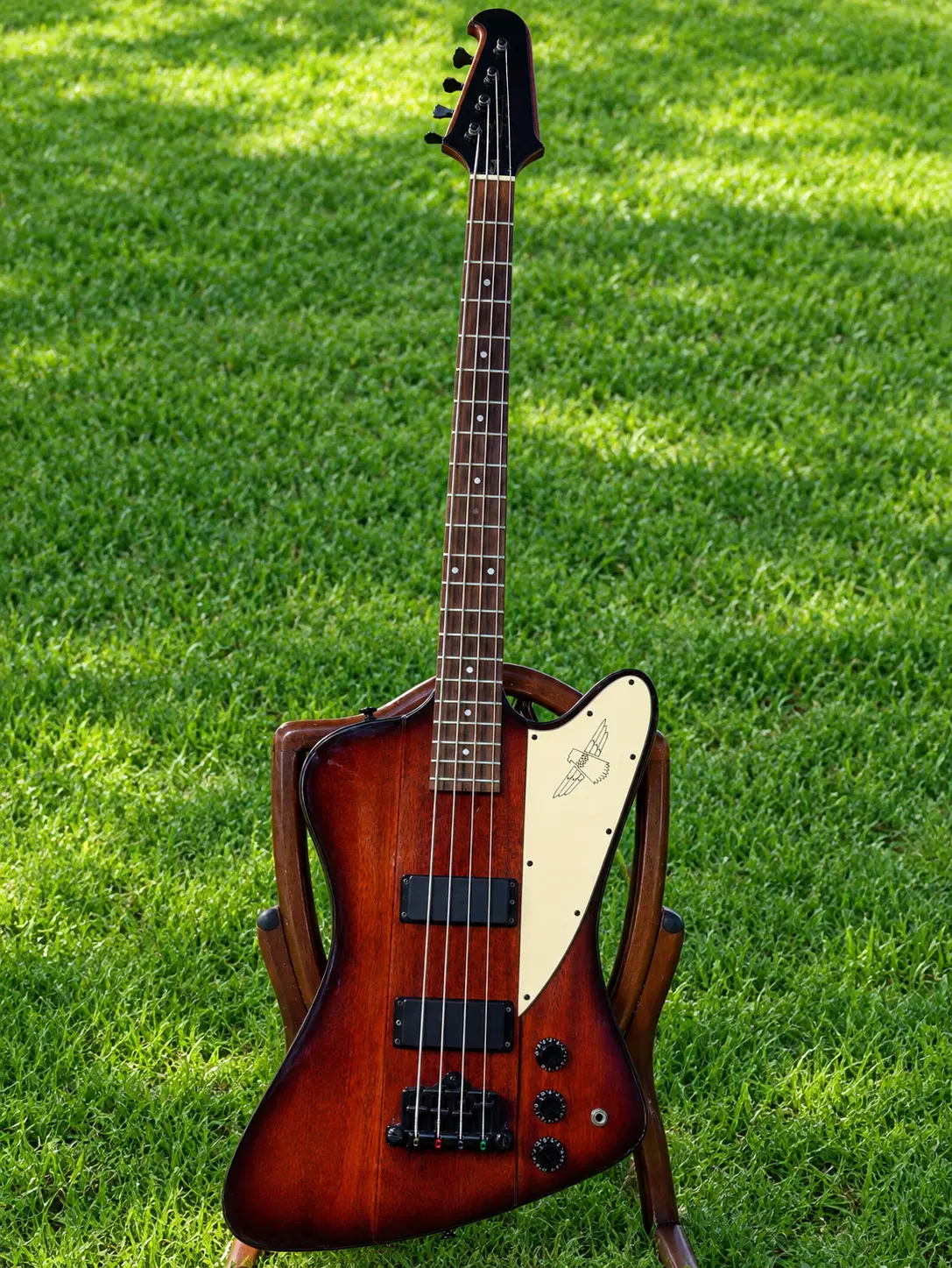 Epiphone Thunderbird bass|گیتار، بیس، امپلیفایر|تهران, منیریه|دیوار