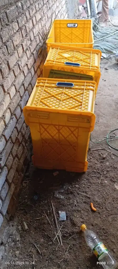 سبدنو برای ماهی فروشی|ظروف نگهدارنده، پلاستیکی، یک‌بارمصرف|آبادان, |دیوار