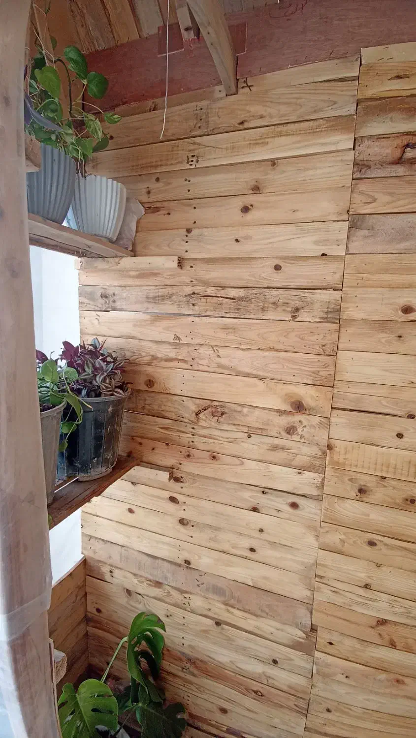 یک عدد گلخانه چوبی چرخ دار|گل و گیاه طبیعی|شاهین‌شهر, گزبرخوار|دیوار