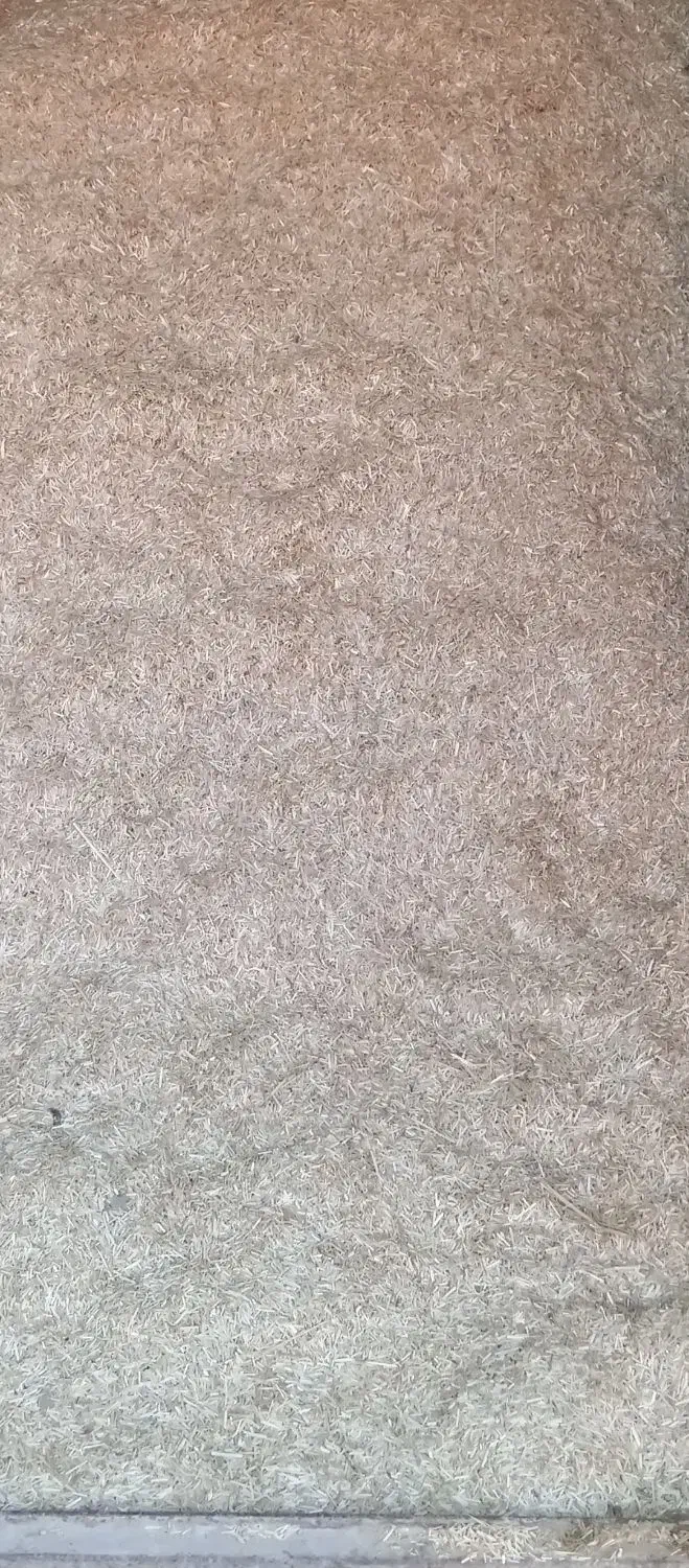 کاه درجه|لوازم جانبی حیوانات|گنبد کاووس, |دیوار