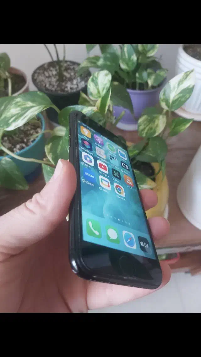 iPhone 7|موبایل|کرج, باغستان|دیوار