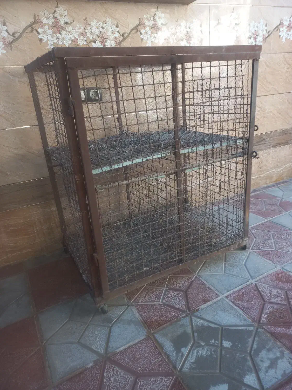 قفس کبوتر|لوازم جانبی حیوانات|نجف‌آباد, یزدانشهر|دیوار