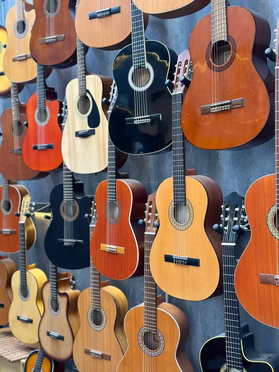 فروش انواع گیتار، انتخابی  برای هر نوازنده|گیتار، بیس، امپلیفایر|مشهد, ولیعصر (شهرک غرب)|دیوار