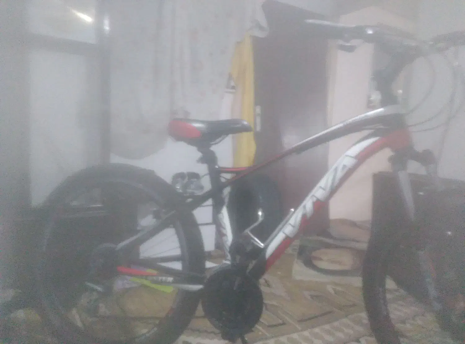 دوچرخه ویوا (اصل ویوا)|دوچرخه، اسکیت، اسکوتر|آستارا, |دیوار