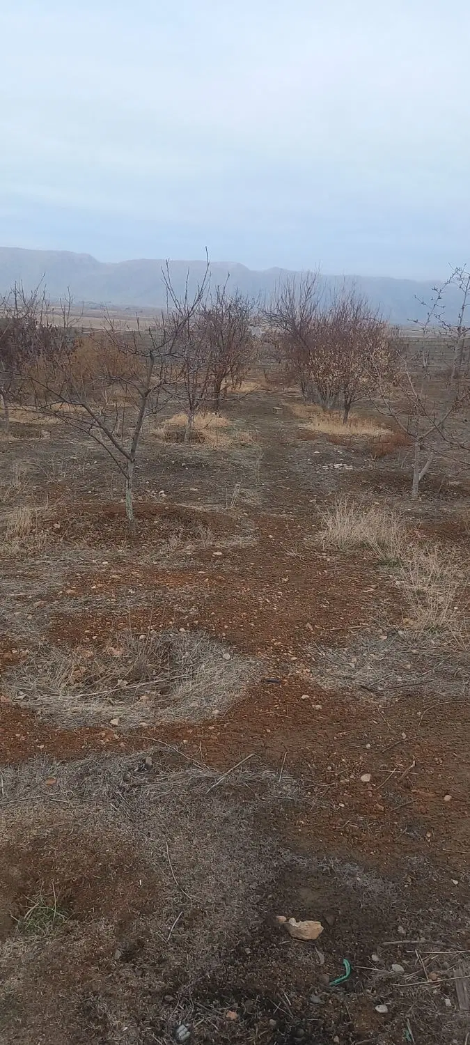 تصویر 3