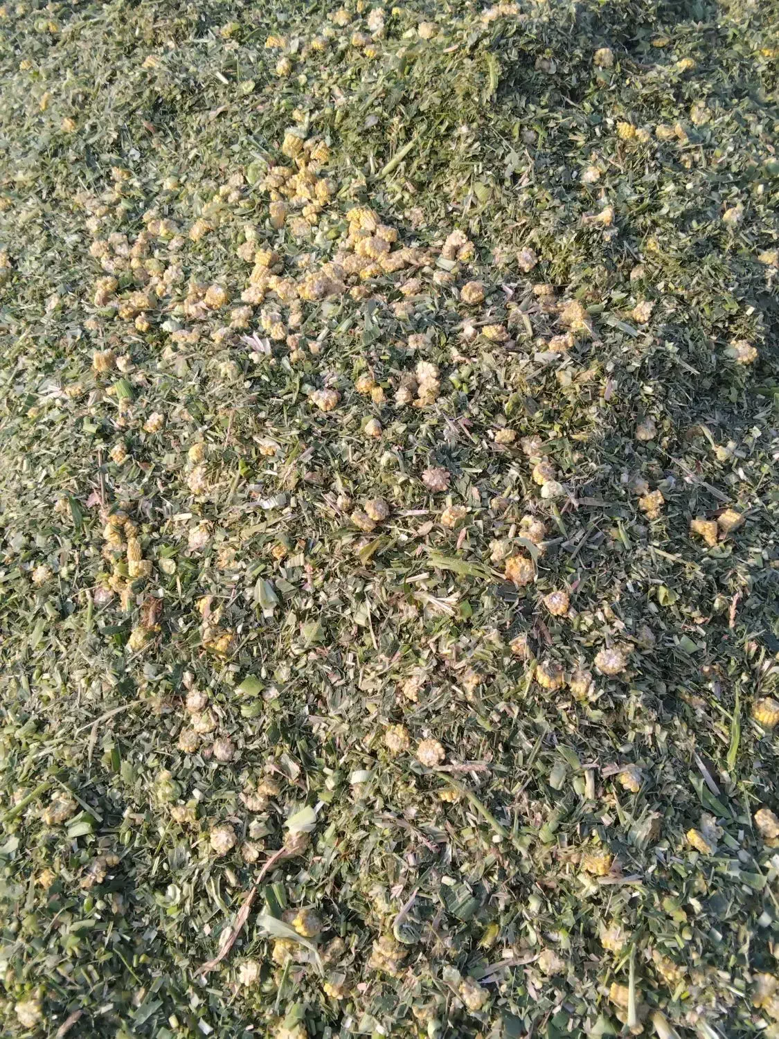 خوراک دامی|لوازم جانبی حیوانات|رشت, معلم|دیوار