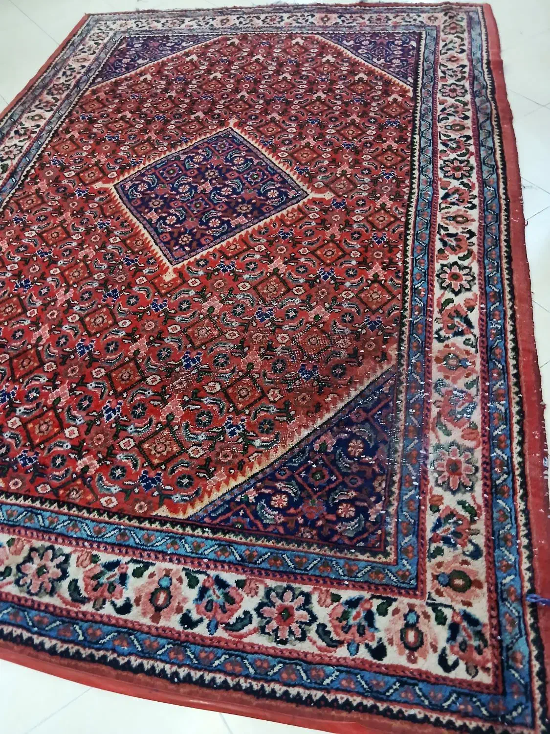 دوتخته فرش دستباف ۶ متری|فرش|ری, جوانمرد قصاب|دیوار
