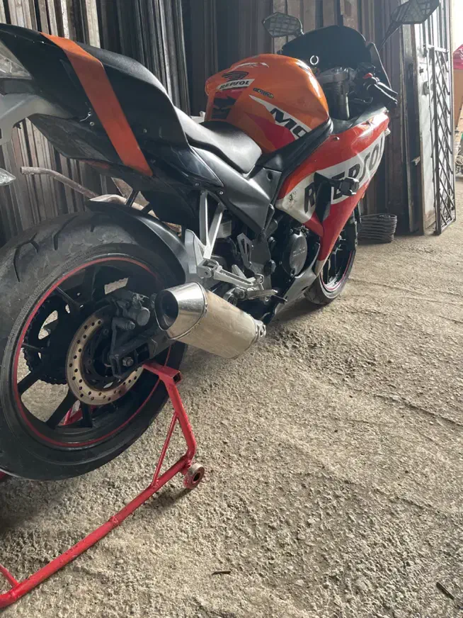 دینو ۲۵۰طرح رپسول|موتورسیکلت|رشت, قاسمیه|دیوار