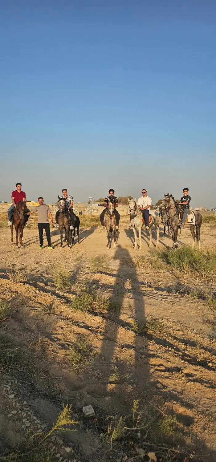 اسب سرودم گیر|اسب و تجهیزات اسب‌سواری|رباط‌کریم, انجم آباد|دیوار