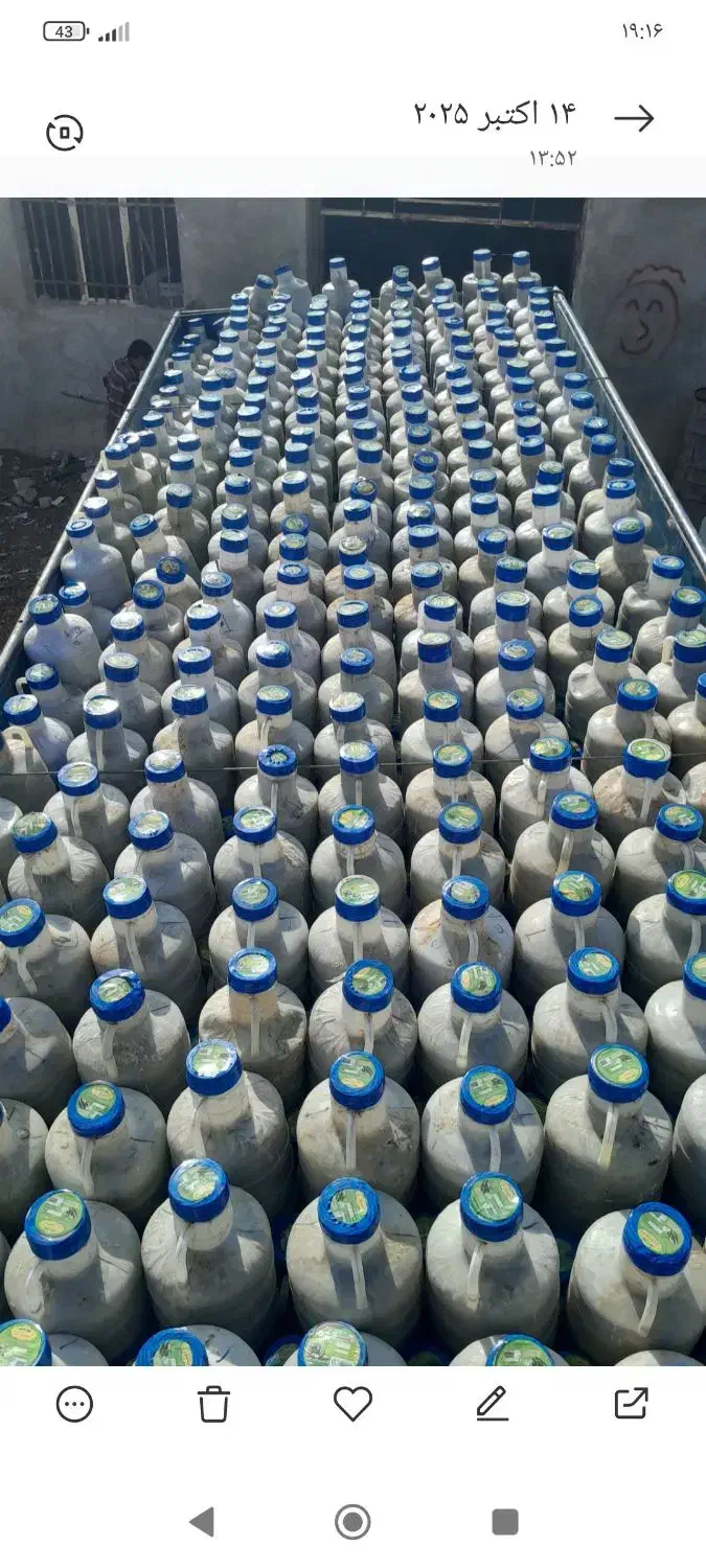 خیار شور|خوردنی و آشامیدنی|شیروان (خراسان), |دیوار