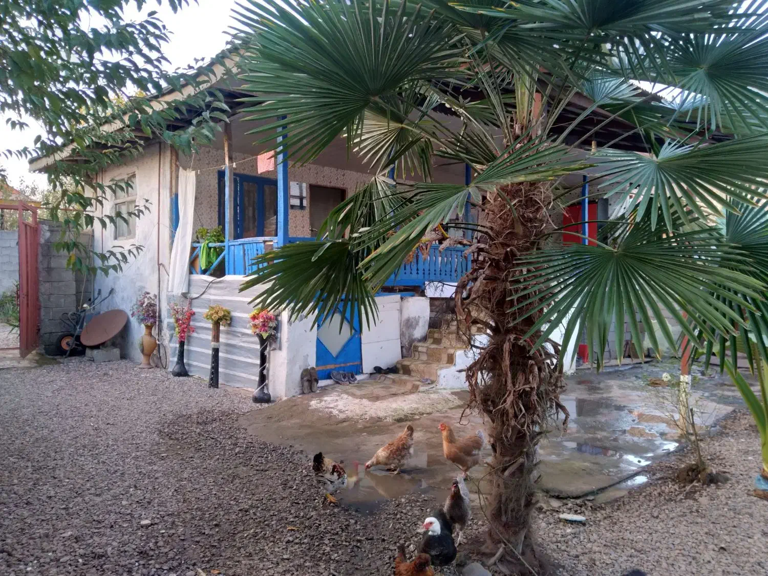 ویلاباغ ۴۰۰ متری بهمراه سوئیت جداگانه/ کوچصفهان|فروش خانه و ویلا|رشت, بلوار گیلان|دیوار