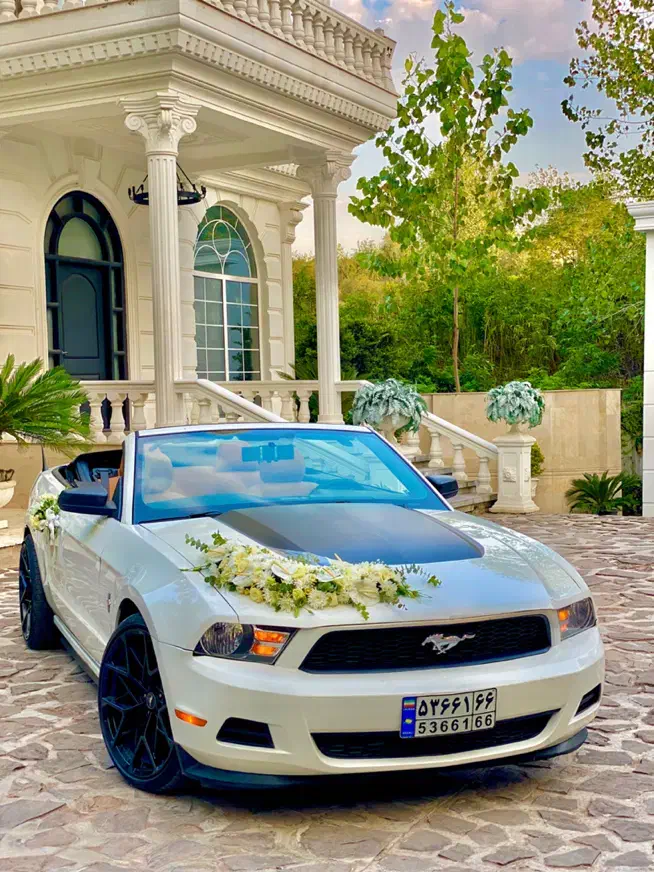 اجاره فورد موستانگ کروک|خدمات پذیرایی، مراسم|رشت, استقامت ۱|دیوار