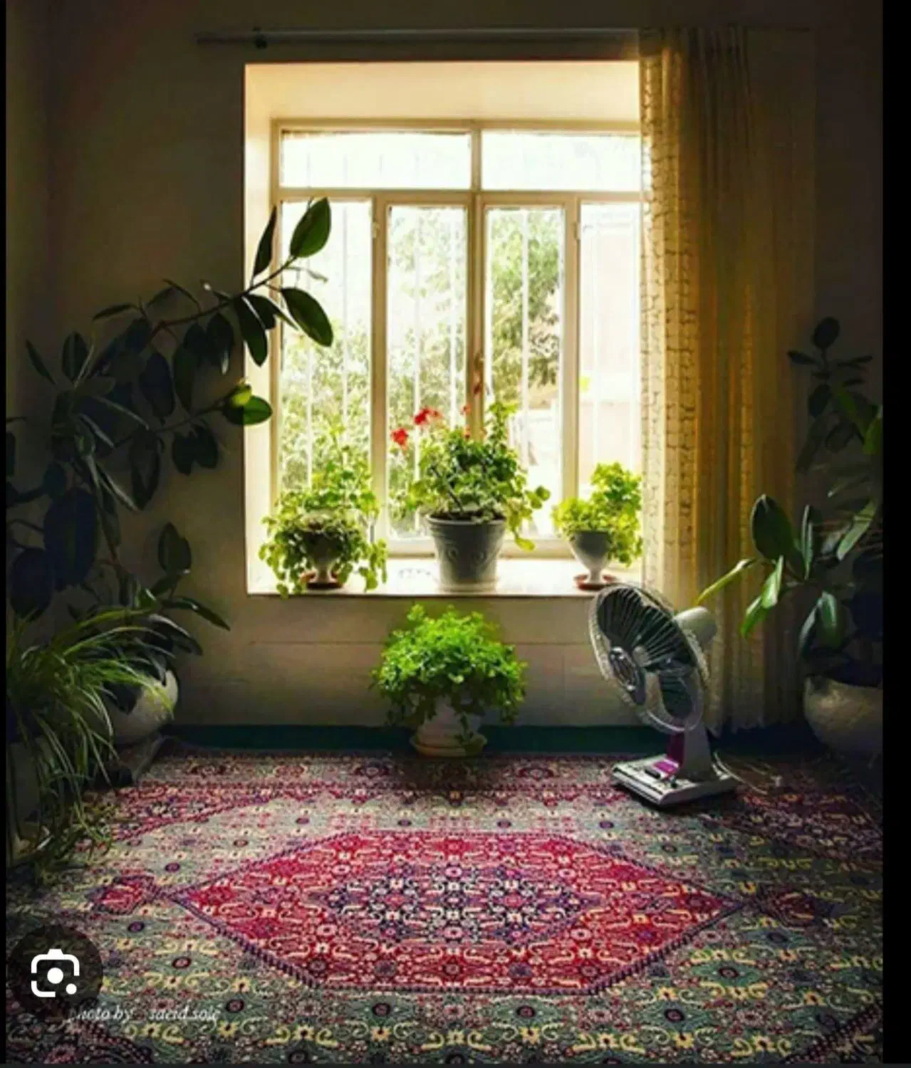 خانه ۲۵ متری مبله میدان سعیدی|اجارهٔ خانه و ویلا|قم, باغ شازده|دیوار