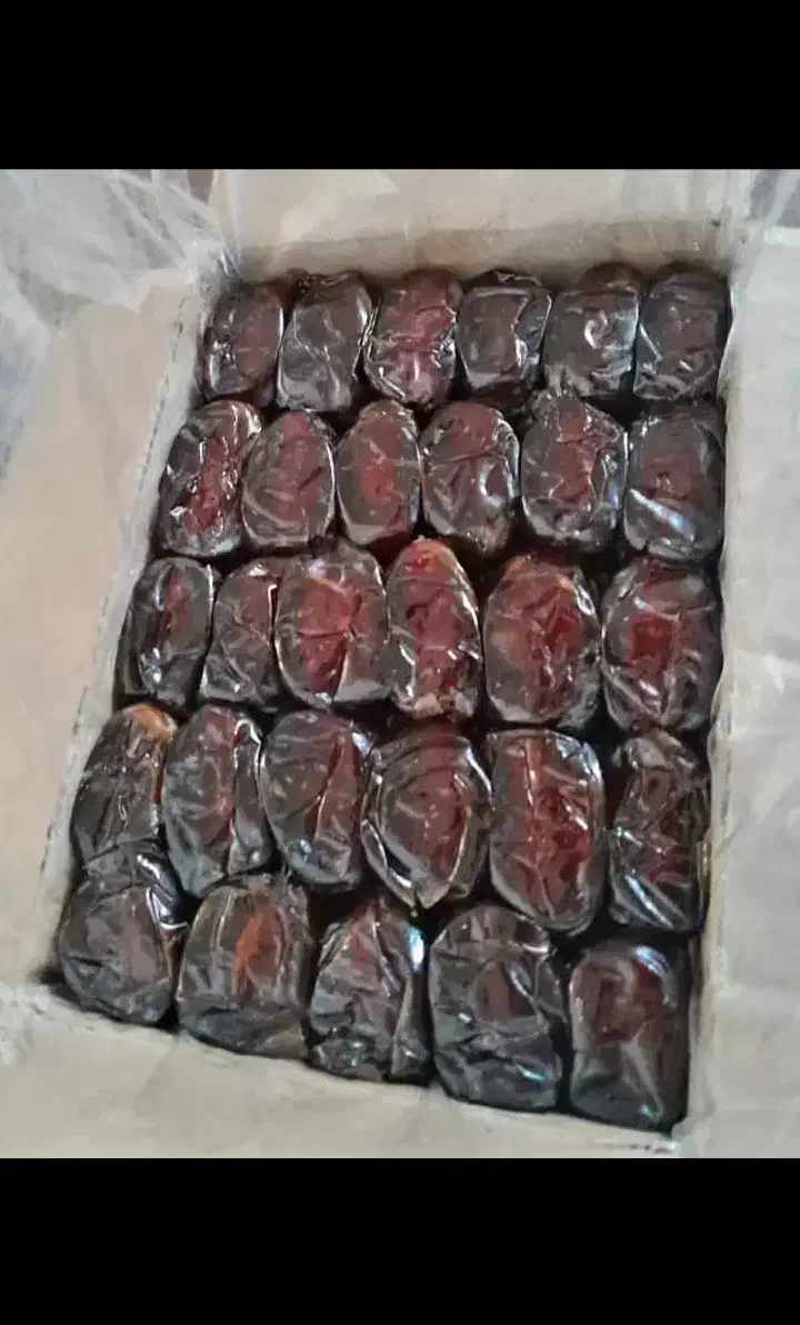 خرما کبکاک|خوردنی و آشامیدنی|شیراز, گلکوب|دیوار
