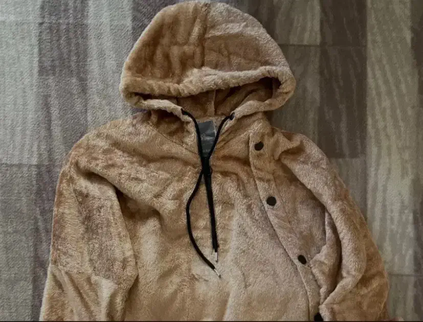 هودی تدی|لباس|قزوین, |دیوار