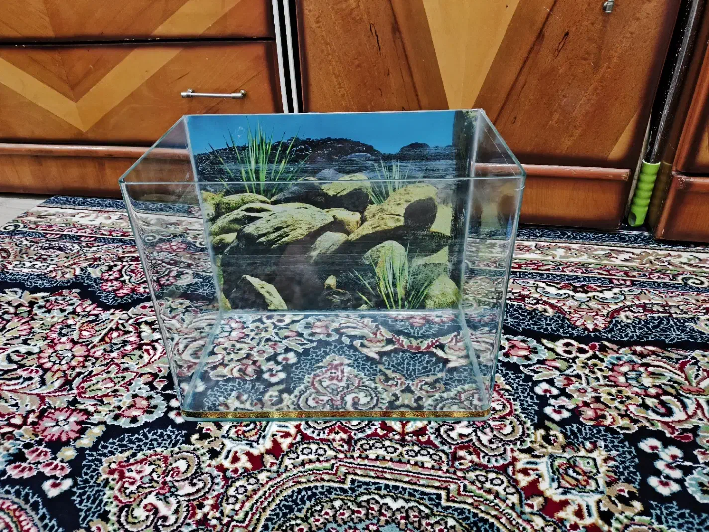 آکواریوم شیشه خم معاوضه با مرغ عشق|ماهی|جوانرود, |دیوار