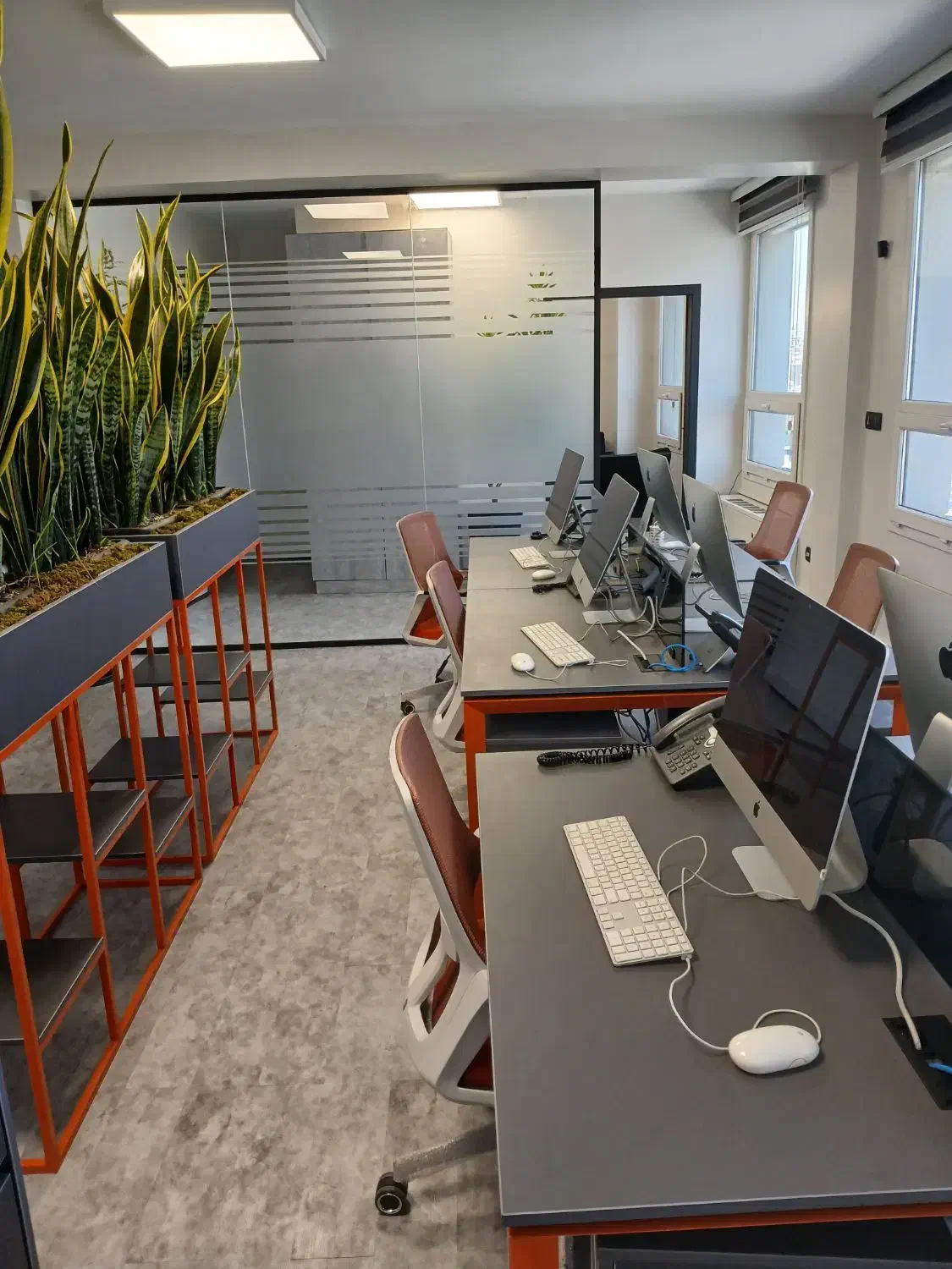 استخدام گرافیست|استخدام هنری و رسانه|تهران, مرزداران|دیوار