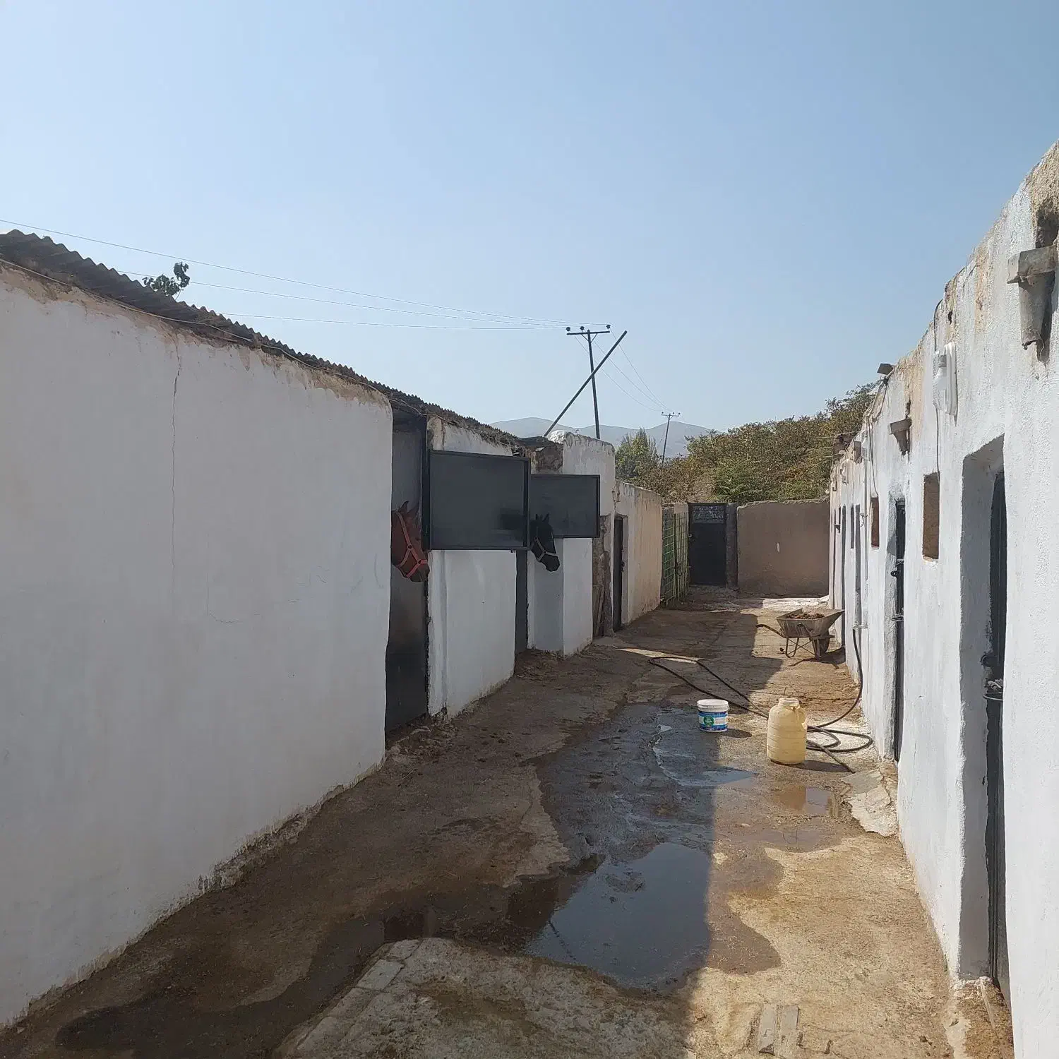 پانسیون و نگهداری اسب|اسب و تجهیزات اسب‌سواری|کوهسار (البرز), |دیوار