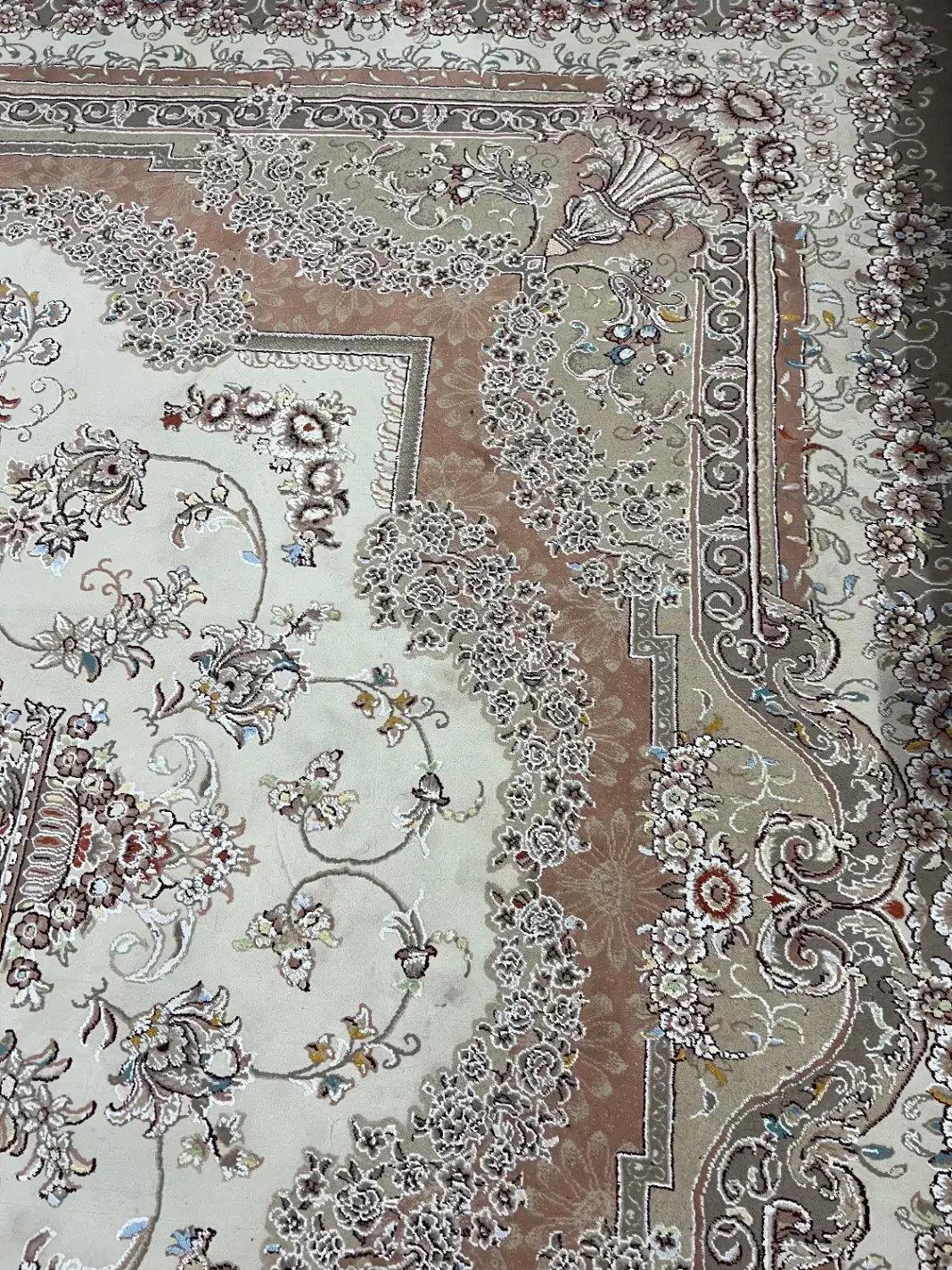 فرش نگین طلایی مشهد|فرش|تربت‌حیدریه, کاشانی|دیوار