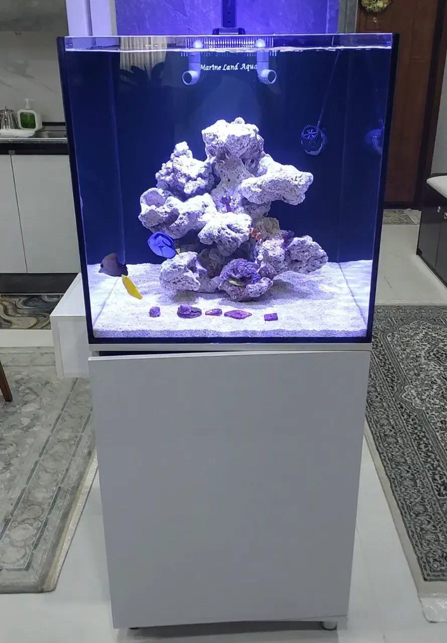 اکواریوم اب شور کامل بدون نور|ماهی|اصفهان, کوی شهید کشوری|دیوار