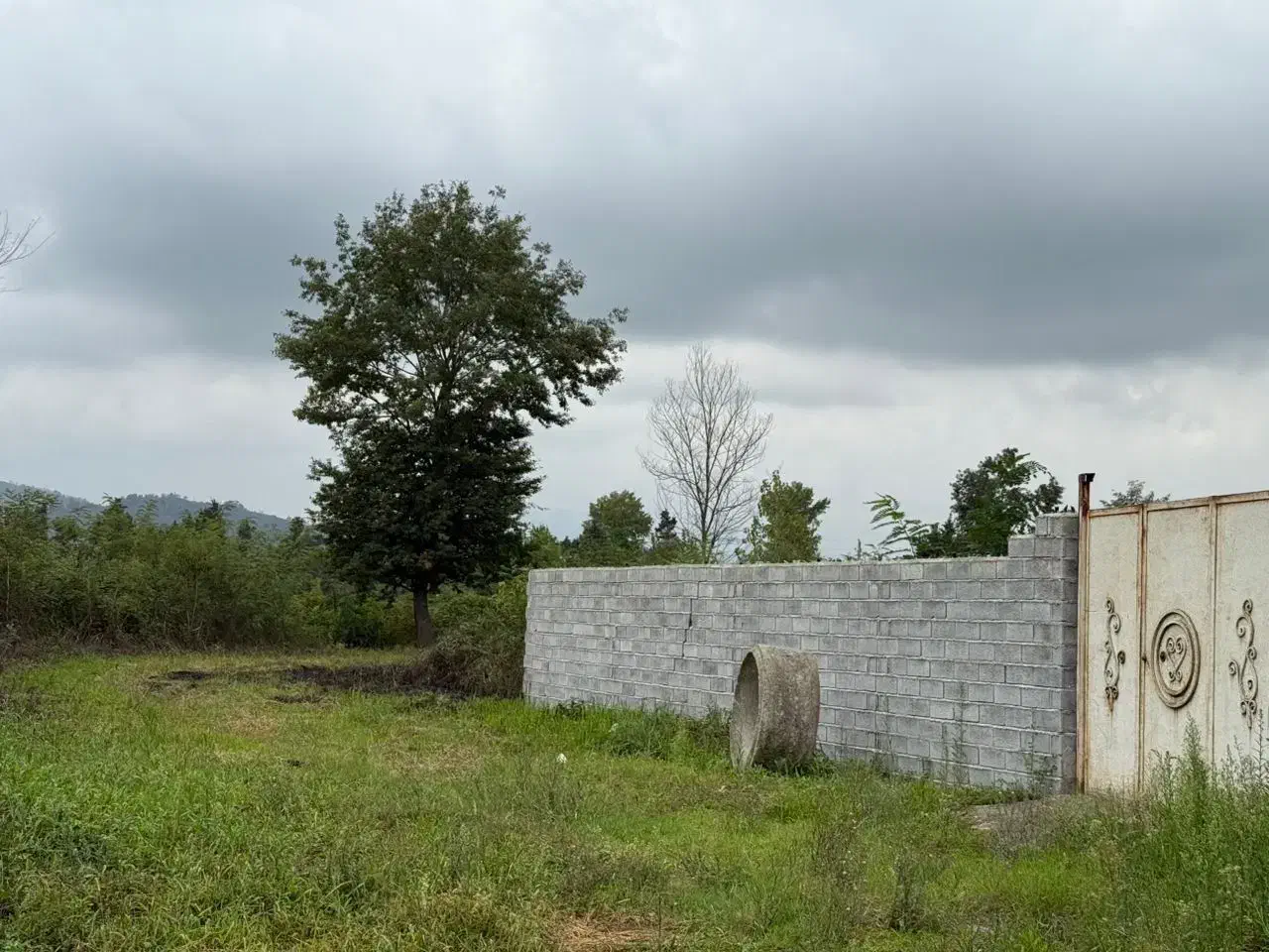 زمین باغی به متراژ ۵۰۰متر|فروش زمین و ملک کلنگی|املش, |دیوار