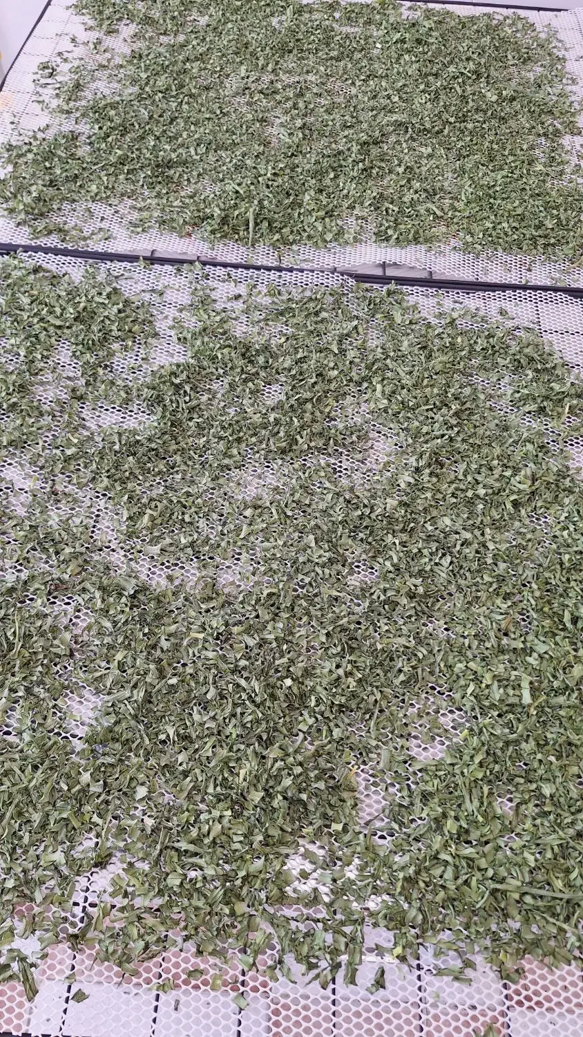 سبزی خشک اعلا / نعنا / شوید / گوجه / قرمه و غیره|خوردنی و آشامیدنی|ارومیه, |دیوار