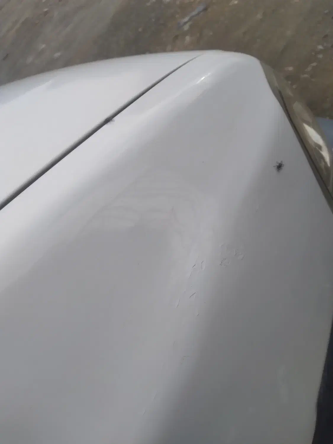 خودروپرایدوانت|خودرو سواری و وانت|صفادشت, |دیوار