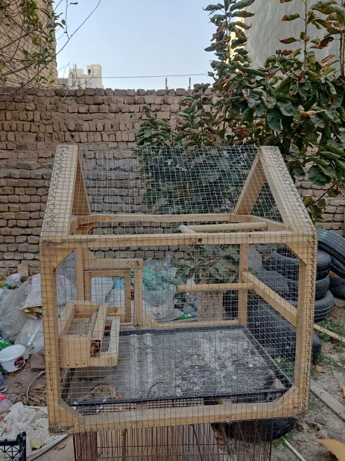قفس چوبی|لوازم جانبی حیوانات|مشهد, چهارچشمه|دیوار