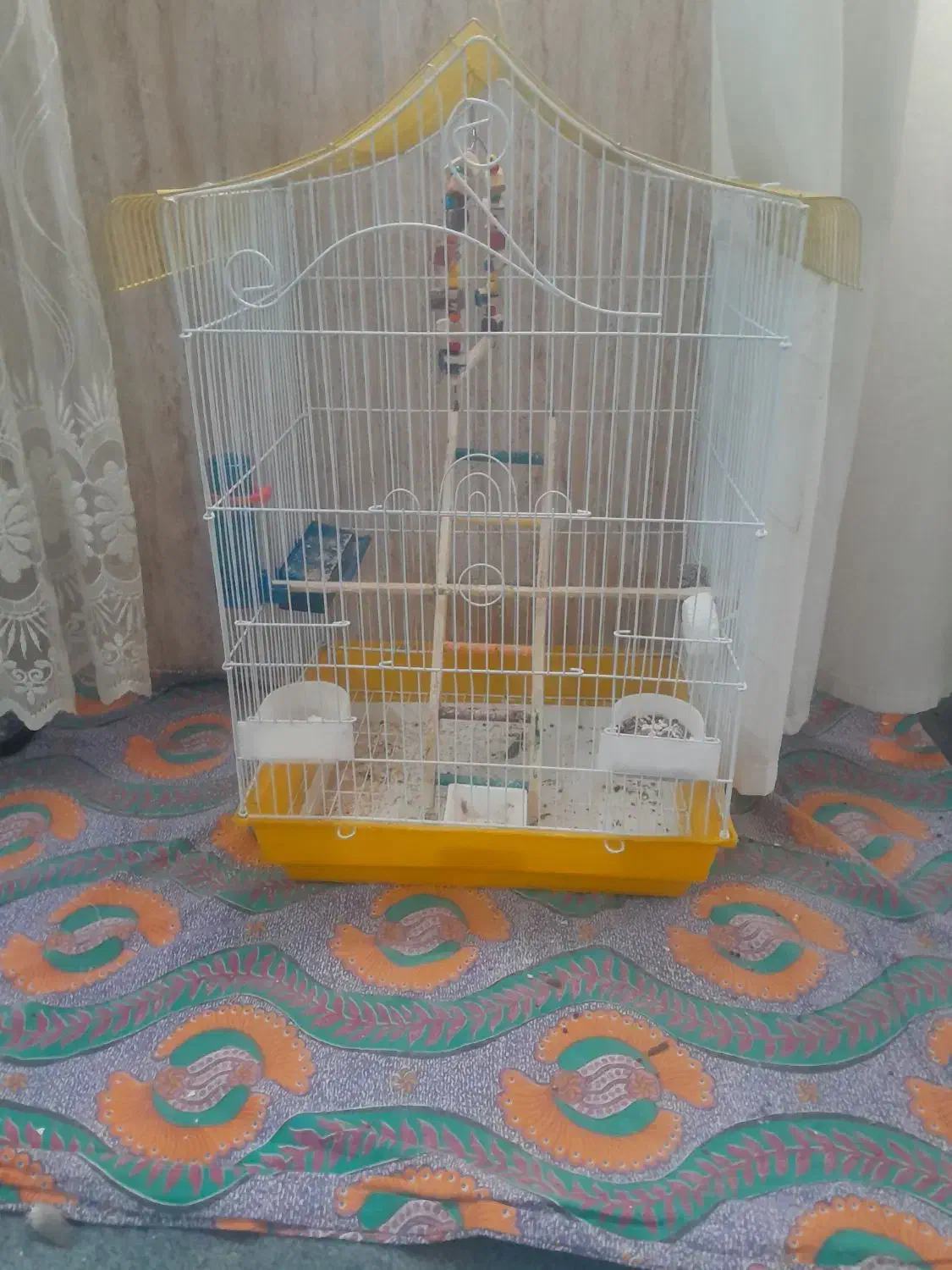 قفس عروس هلندی|لوازم جانبی حیوانات|رباط‌کریم, نصیرشهر|دیوار