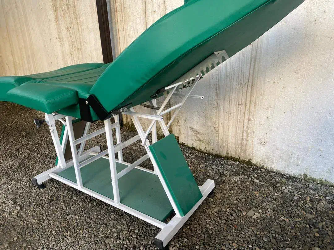 تخت سالن زیبایی|آرایشگاه و سالنهای زیبایی|رشت, کوی حسینی|دیوار