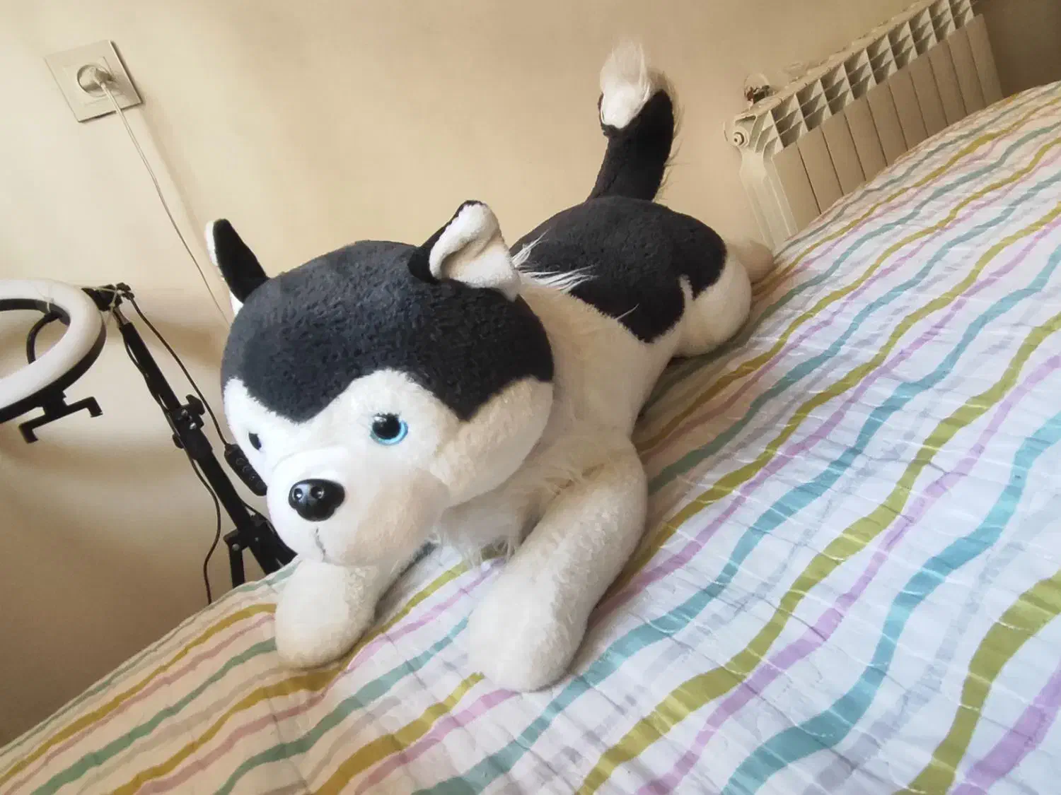 فروش انواع عروسک.|اسباب‌بازی بچه|بابل, |دیوار