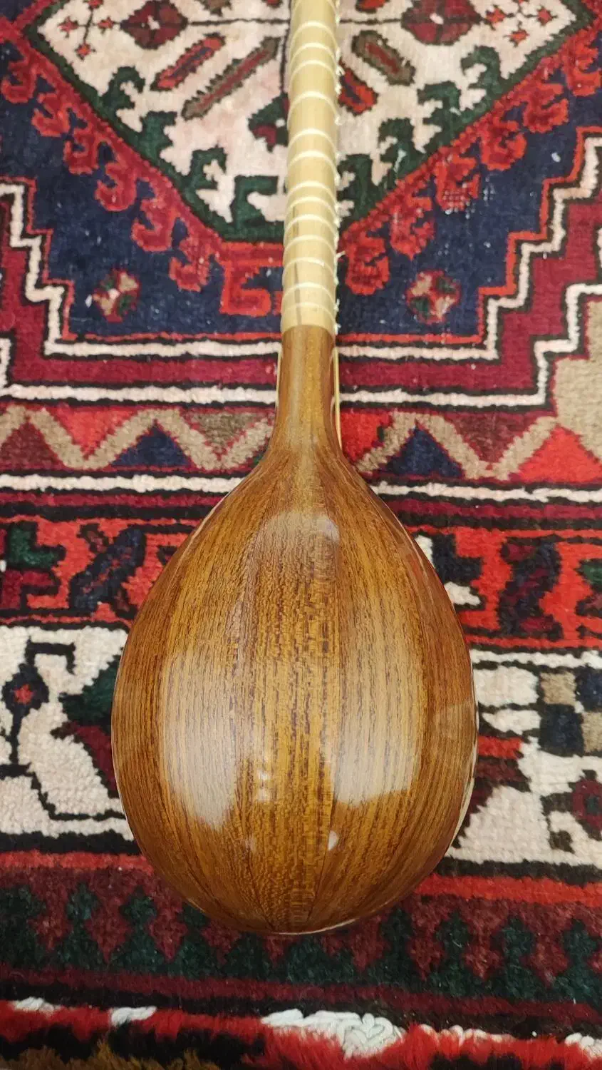 سه تار حرفه ای آقای داوود حسنی|سازهای سنتی|تبریز, |دیوار