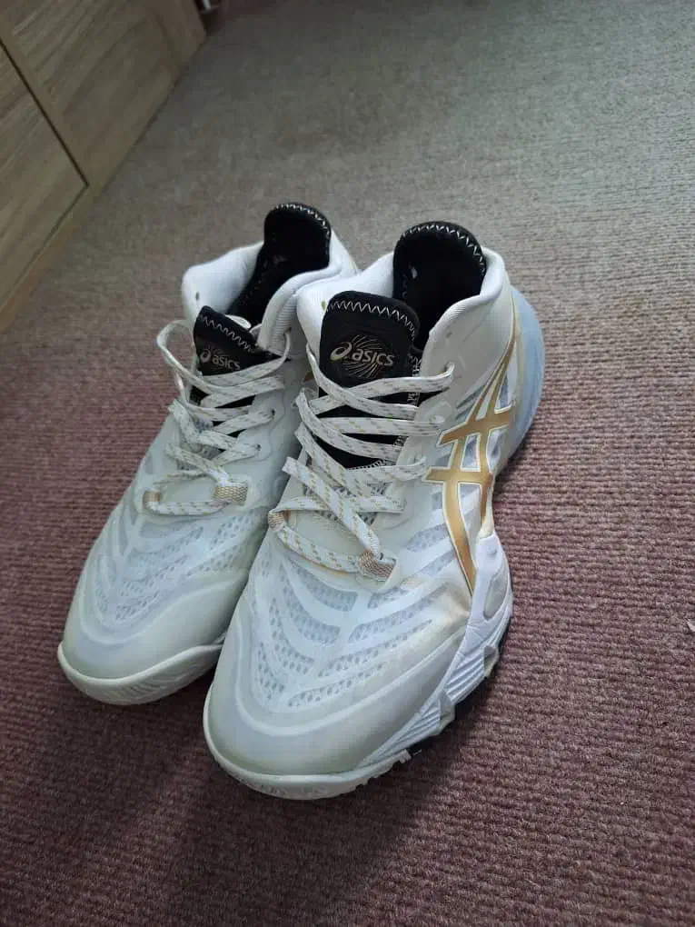 کفش والیبال|کیف، کفش، کمربند|بندر ترکمن, |دیوار