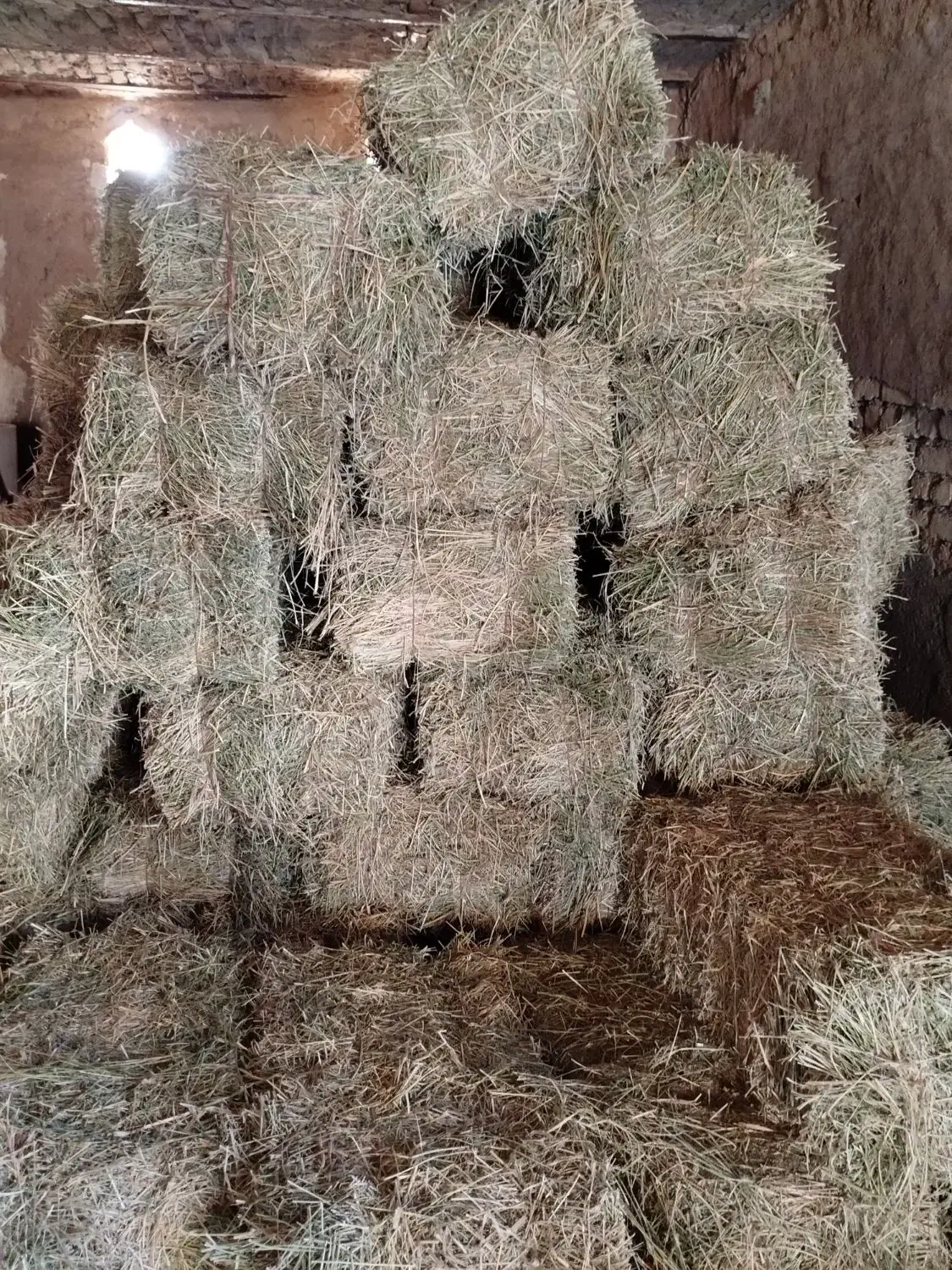 پرس یونجه|لوازم جانبی حیوانات|بروجرد, |دیوار