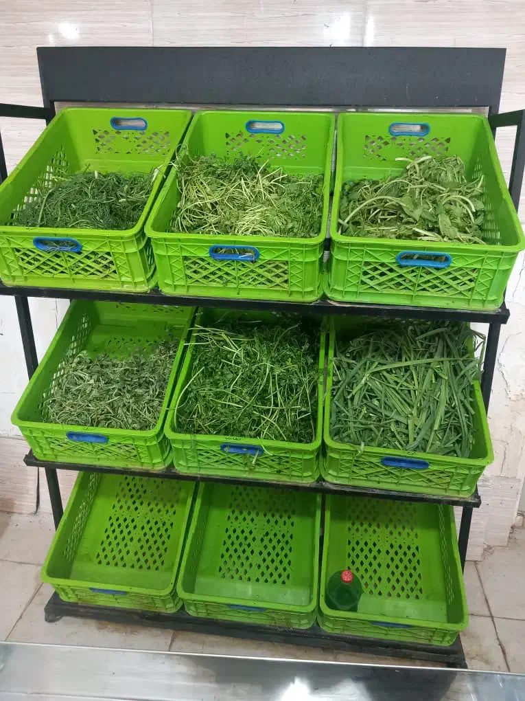 دستگاه سبزی خردکنی صنعتی به همراه ترازو ‌‌سبد|فروشگاه و مغازه|ملارد, |دیوار