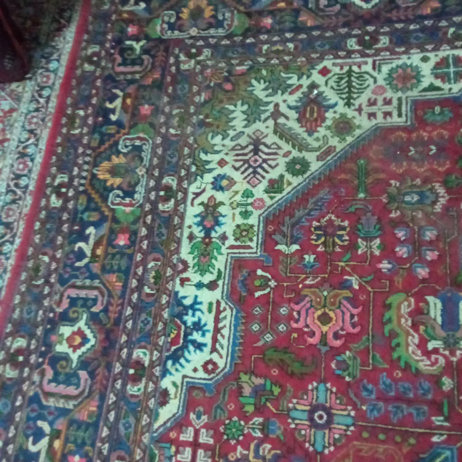 قالی دوازدهمتری دستباف|فرش|شیراز, سیاه سنگ|دیوار