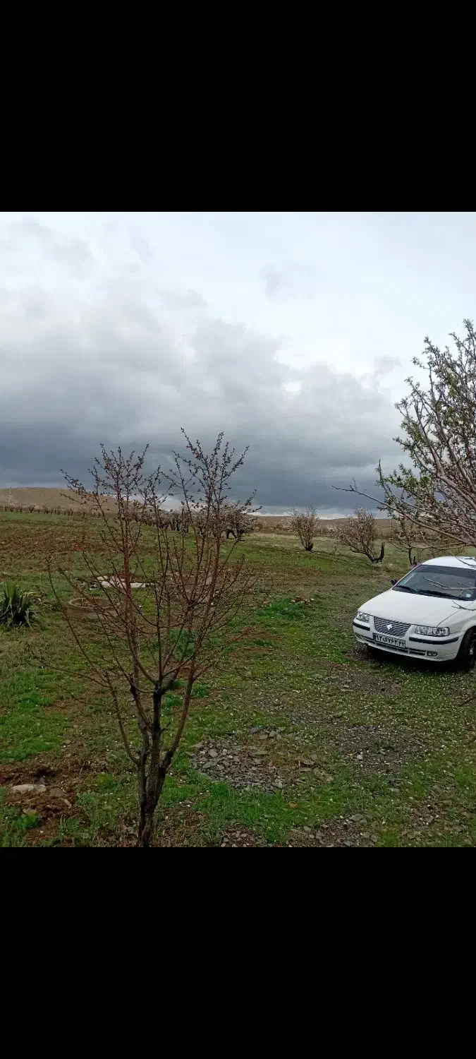 فروش زمین در شهر ویست ( گلسار )|فروش زمین و ملک کلنگی|خوانسار, |دیوار