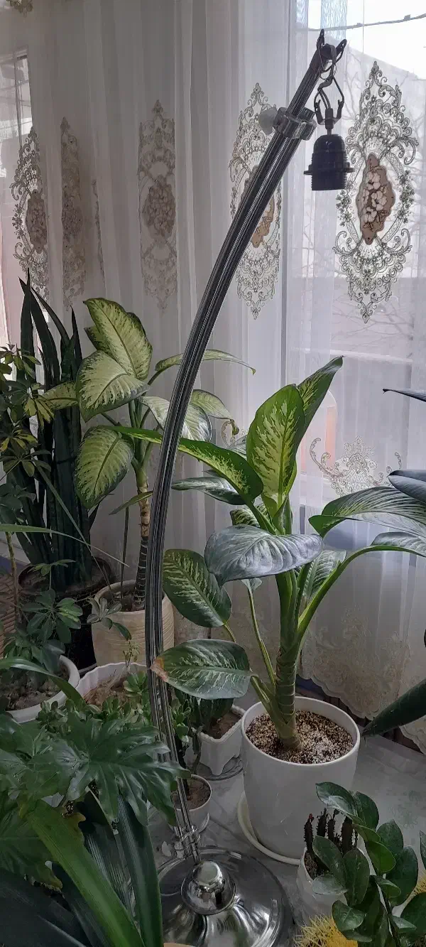 آباژور ایستاره|چراغ خواب و آباژور|مراغه, |دیوار