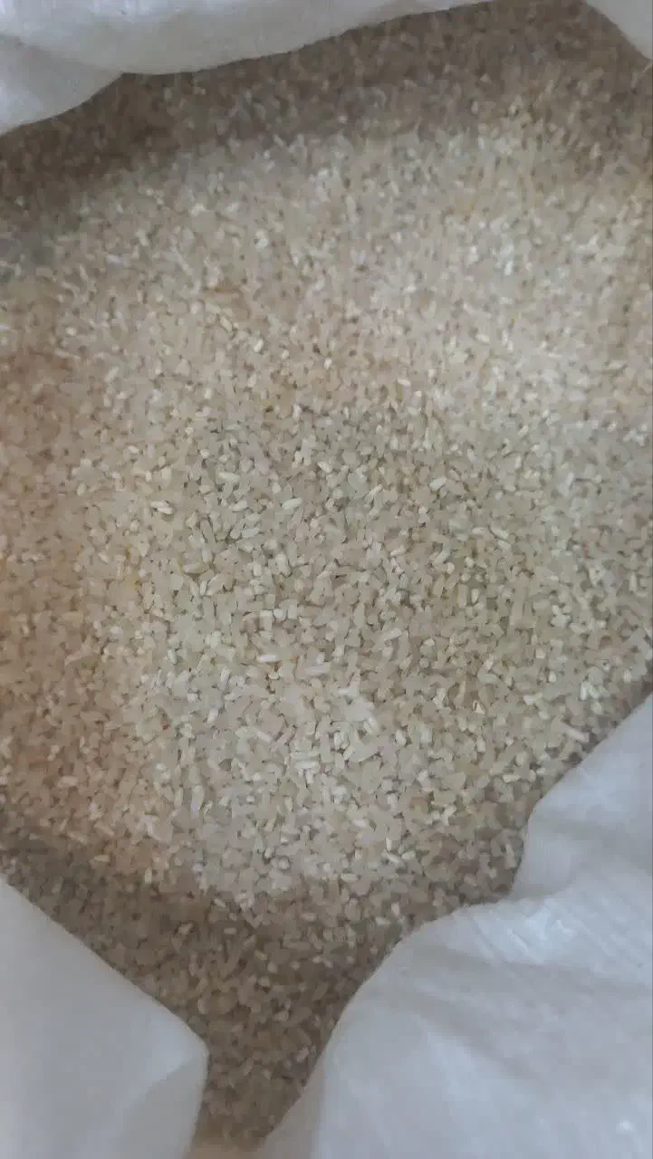 **حراج برنج ریزدانه باعطرعالی**|حراج|گلبهار, شهر جدید گلبهار|دیوار