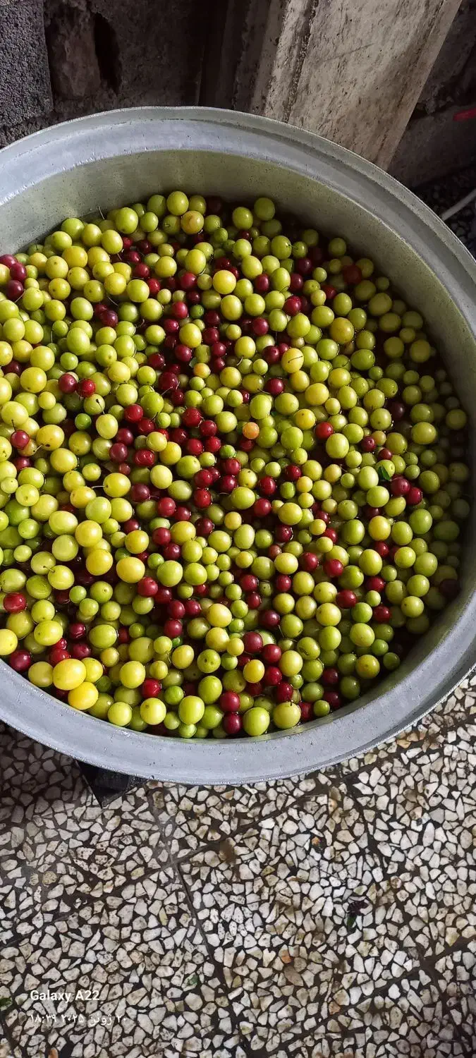 رب آلوچه درجه یک کاملا ارگانیک|خوردنی و آشامیدنی|قم, گلزار|دیوار