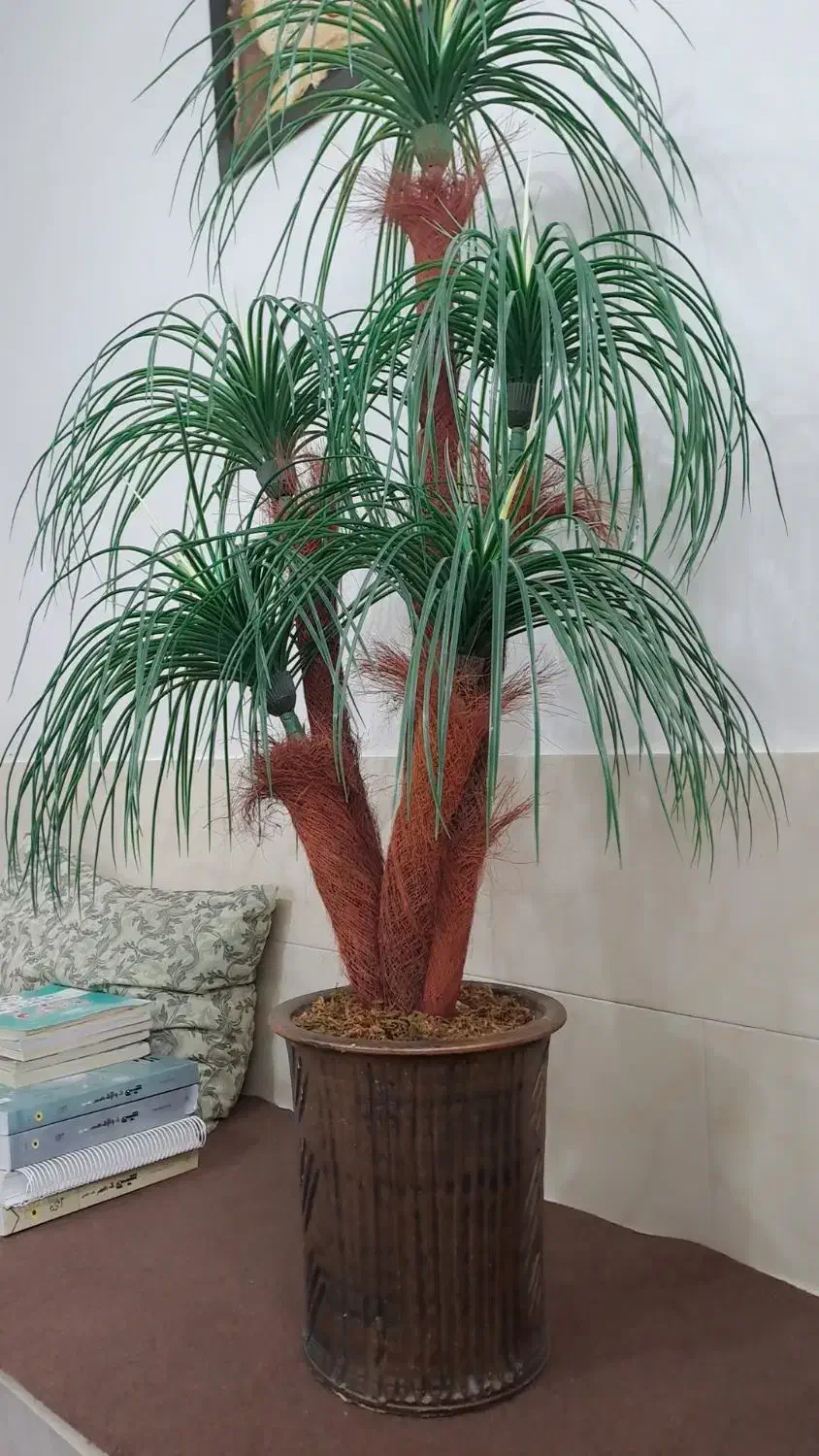 نخل مصنوعی|گل مصنوعی|ابهر, |دیوار