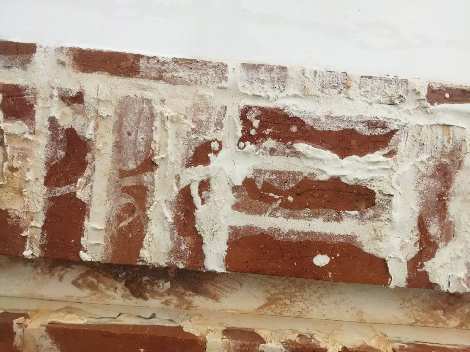 کفسابی امید|خدمات نظافت|لاهیجان, کوی استادان|دیوار