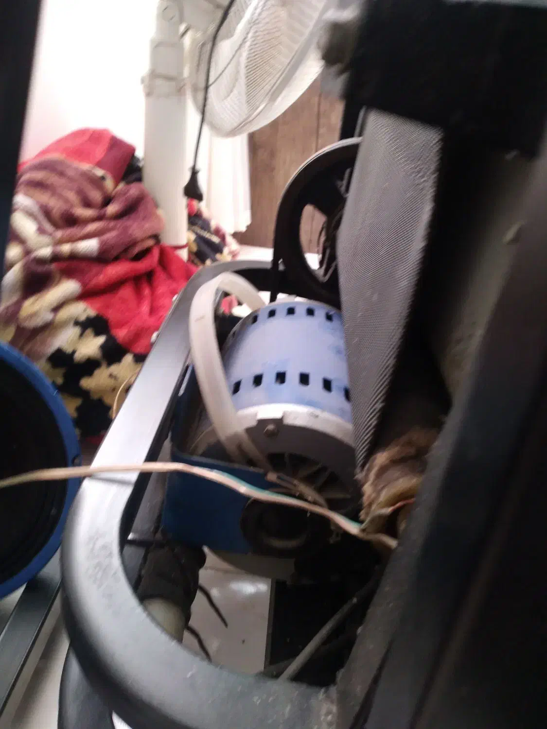 تردمیل و ترامپولی|تجهیزات ورزشی|فردیس, فرامرزیه|دیوار