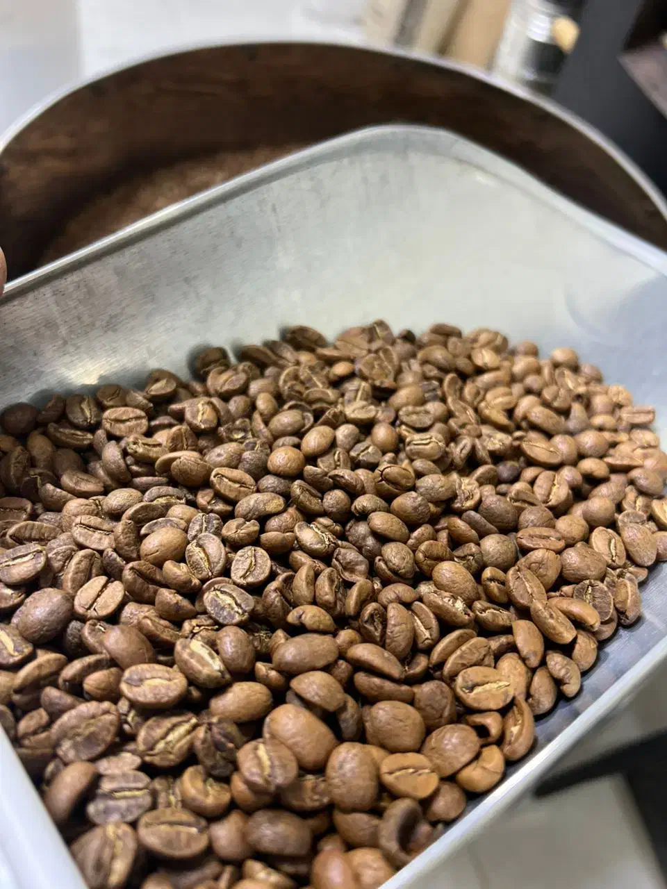 قهوه|عمدهفروشی|اسلامآباد غرب, |دیوار